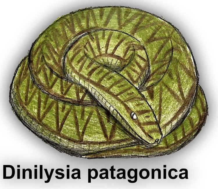 Dinilysia Dinilysia patagonica by PLASTOSPLEEN on DeviantArt