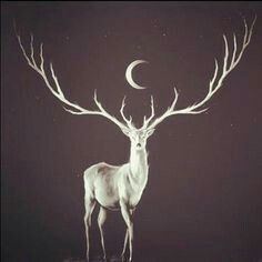One of the stags portrayed in Norse myhtology with the moon in the middle of his antlers.
