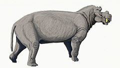 Dinocerata httpsuploadwikimediaorgwikipediacommonsthu