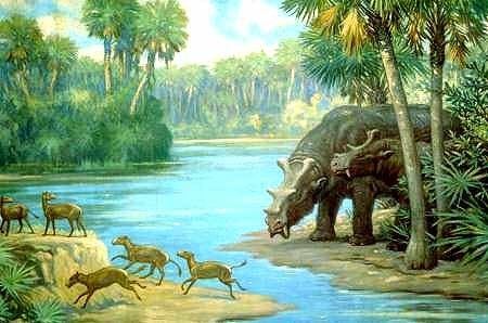 Dinocerata Palaeos Vertebrates Archaic Mammals Dinocerata