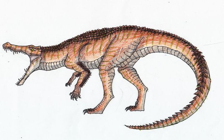 Dinocroc dinocroc by ropen7789 on DeviantArt