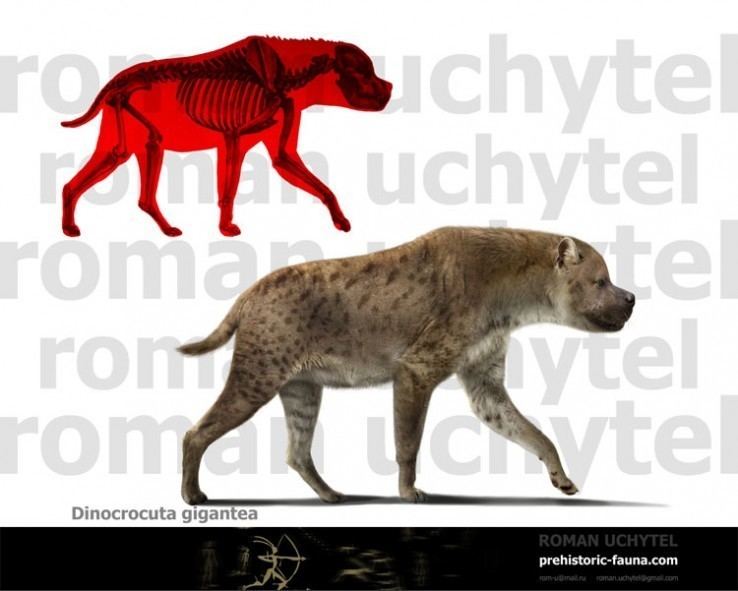 Dinocrocuta prehistoricfaunacomimagecachedatareconstruct