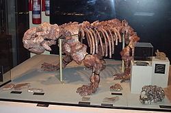 Dinodontosaurus httpsuploadwikimediaorgwikipediacommonsthu