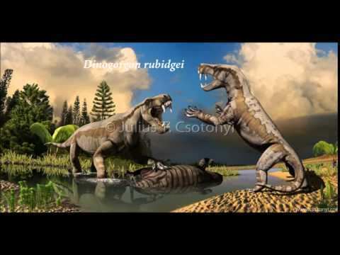 Dinogorgon Prehistoric Predators Dinogorgon YouTube