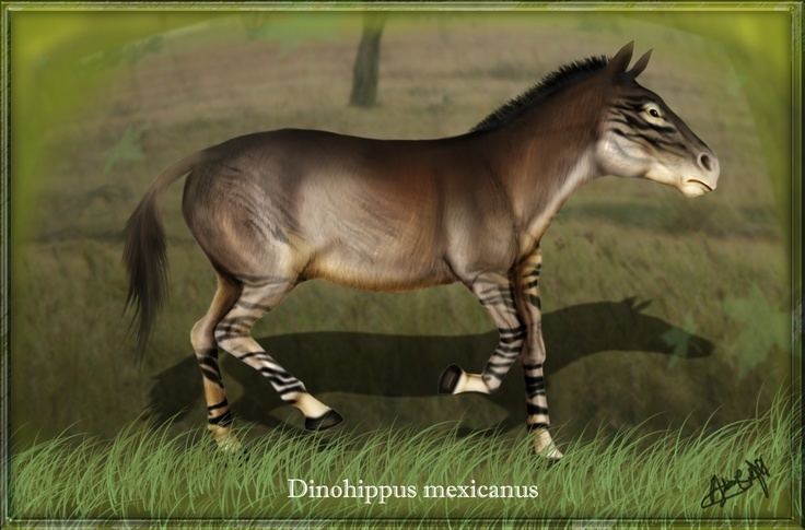 Dinohippus Dinohippus Greek Terrible horse is an extinct herbivorous mammal