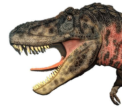 A Tyrannosaurus head with his  mouth wide open, has brown and black reptile pattern skin with red color pattern on its neck, sharp teeths and short forelimbs with two claws.