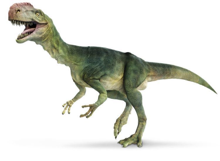 A Monolophosaurus standing facing left with its mouth wide open, has a large crest on its head, sharp teeth, a green skin reptile pattern on its long body with two legs and two short forelimbs with three claws.
