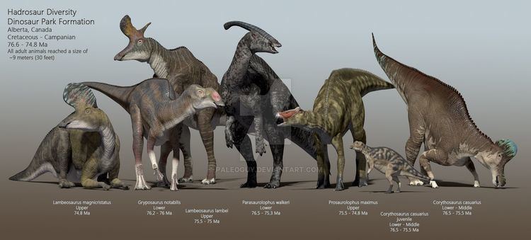 Dinosaur Park Formation Hadrosaurs of the Dinosaur Park Formation by PaleoGuy on DeviantArt