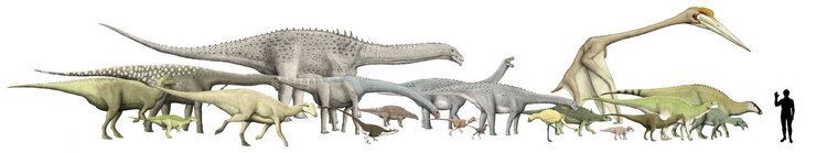 Dinosaur size Island dinosaur size chart by Hyrotrioskjan on DeviantArt