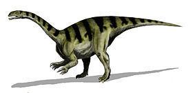 Dinosauromorpha Staurikosaurus Wikiwand
