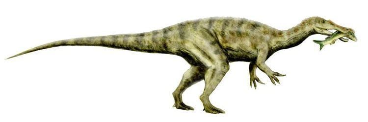 sandown dinosaur