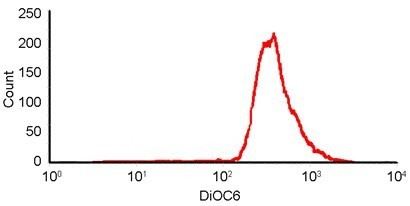 DiOC6 Flow Cytometric Detection of Mitochondrial Membrane Potential BIO