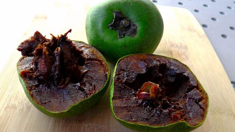 Diospyros nigra Black Sapote The Fruit That Tastes Like Chocolate Pudding