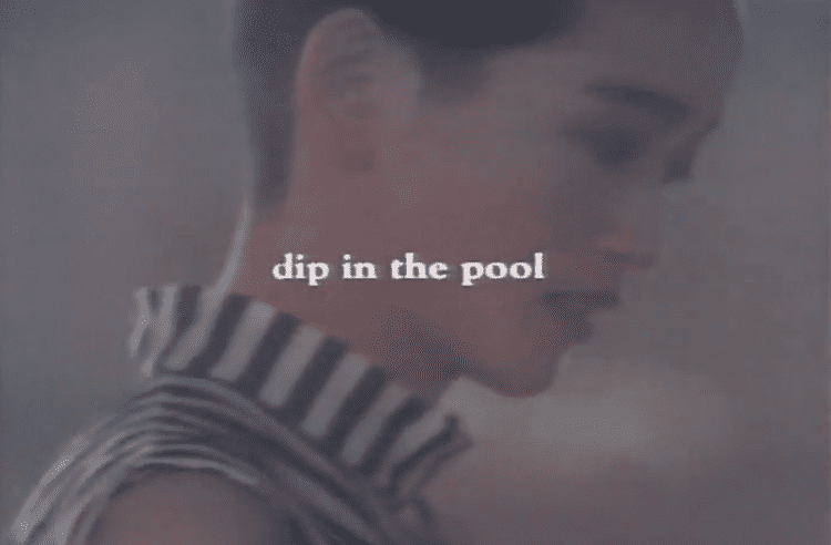 Dip in the Pool (band) wwwgorillavsbearnetfiles201310CFCFxDIPIN