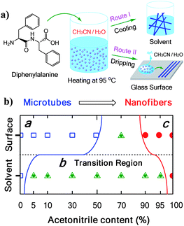 Diphenylalanine Solvent and surface controlled selfassembly of diphenylalanine