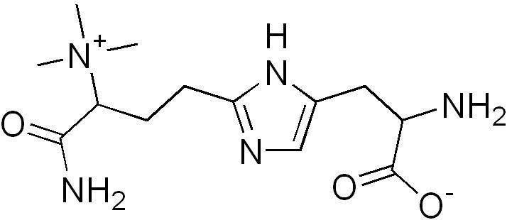 Diphthamide httpsuploadwikimediaorgwikipediacommonsaa