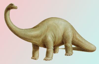 On a pearlescent background Diplodocus is standing, facing to his right looking to his left, and has very large, long-necked, four legged animal, with long, whip-like tails. The forelimbs were slightly shorter than the hind limbs and had a yellow-brown body,