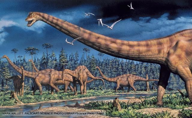 During the prehistoric period with large tall trees, rivers and grassy land under a dark blue cloudy sky with white birds flying, a group of Diplodocus is walking, facing to their left and has very large, long-necked, four legged animals, with long, whip-like tails. The forelimbs were slightly shorter than the hind limbs and they had a brown body with dark brown unique patterns.
