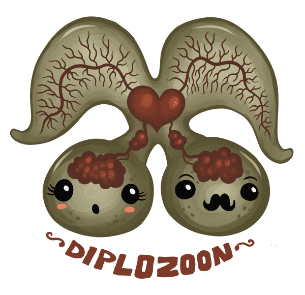 Diplozoon paradoxum Diplozoon by scythemantis on DeviantArt