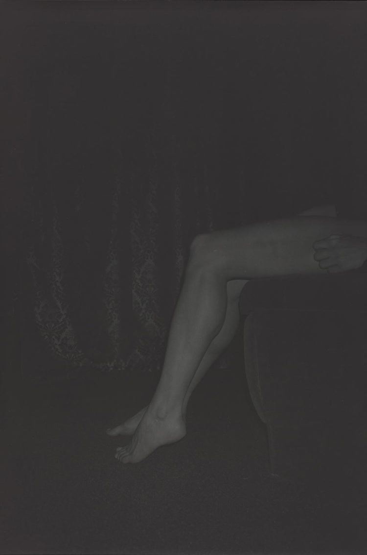 Dirk Braeckman We Find Wildness