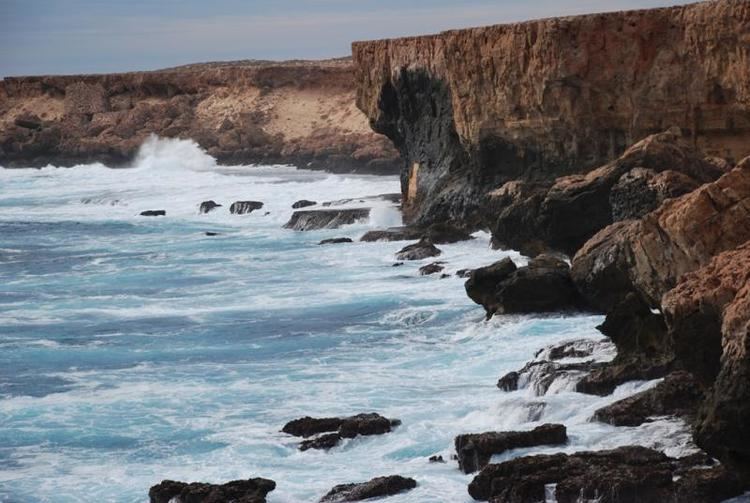 Dirk Hartog Island httpsparksdpawwagovausitesdefaultfiless