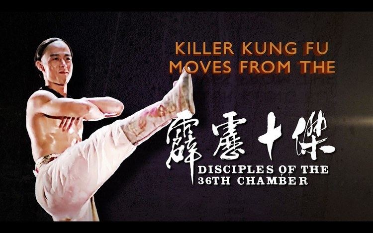 Disciples of the 36th Chamber Killer Kung Fu Moves From The Disciples Of The 36th Chamber YouTube