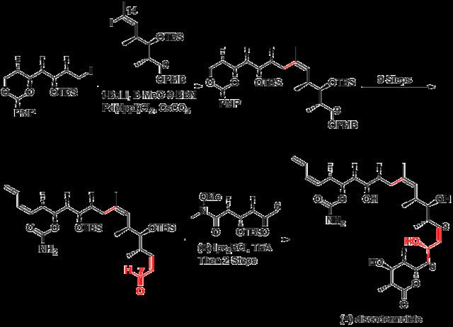 Discodermolide FileThe Novartis 60g total synthesis of discodermolide endgame
