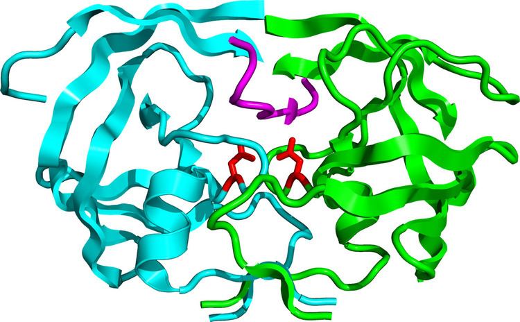 Discovery and development of HIV-protease inhibitors