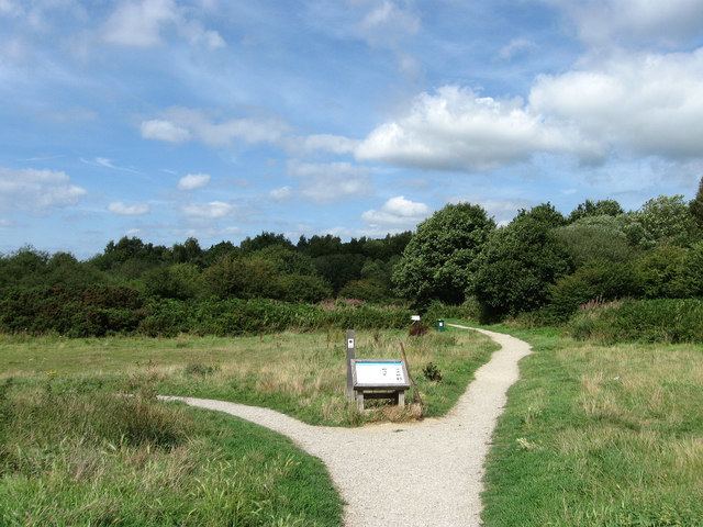 Ditchling Common Ditchling Common Country Park Simon Carey Geograph Britain and