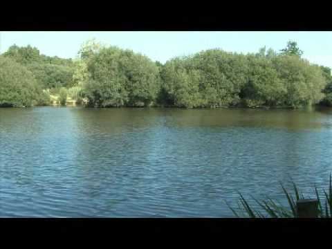 Ditchling Common Ditchling Common Pond YouTube