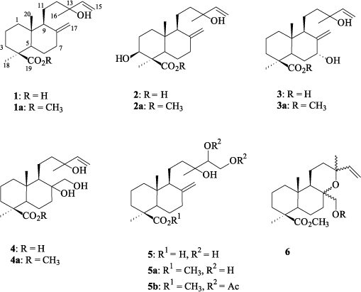 Diterpene Hydroxylation of the Labdane Diterpene Cupressic Acid by Fusarium