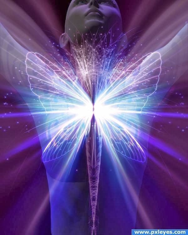 Divine light Divine Light Activation Divine Transmissions