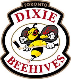 Dixie Beehives (2005–11) httpsuploadwikimediaorgwikipediaen22aTor