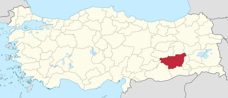 Diyarbakır (electoral district)