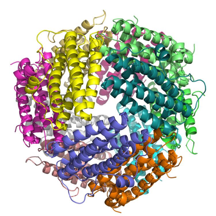 DNA-binding protein from starved cells