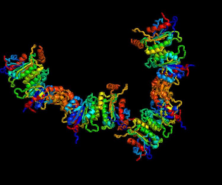 DNA (cytosine-5)-methyltransferase 3A