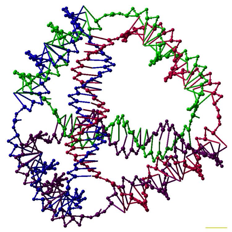 DNA nanotechnology