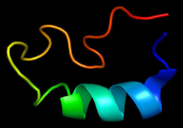 DNA polymerase alpha catalytic subunit