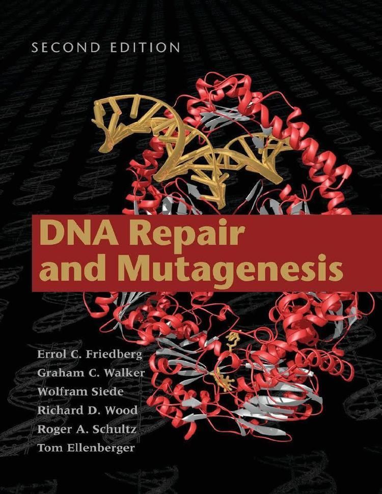 DNA Repair and Mutagenesis t0gstaticcomimagesqtbnANd9GcRiCedkMR30L1fgi