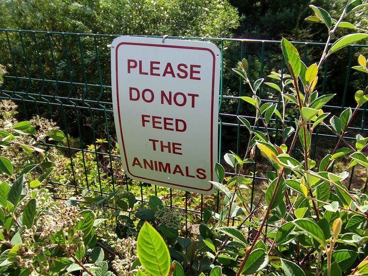 do-not-feed-the-animals-alchetron-the-free-social-encyclopedia