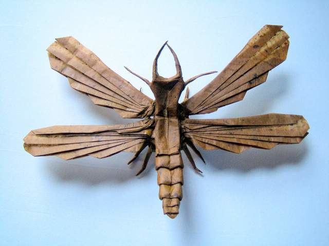 Dobsonfly origami