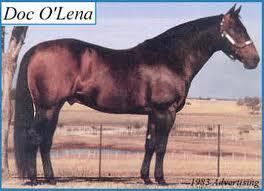 Doc O'Lena DOC O39LENA Open Spear Ranch