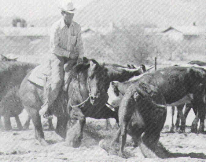 Doc O'Lena Moore Ranch 6J Paint Horses Doc O Lena