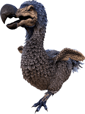 Dodo Dodo Taming Calculator Dododex Ark Survival Evolved