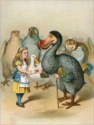 Dodo (Alice's Adventures in Wonderland) John Tenniel The Dodo solemnly presented the thimble from Alice39s