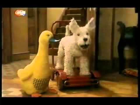 Dog and Duck - Rain (2000) - YouTube