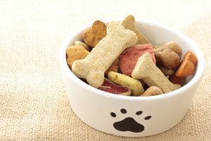 Dog biscuit Recipe ideas for quick and healthy homemade dog treats Cesar39s Way