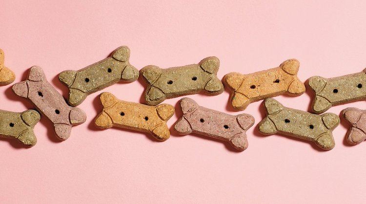 Dog biscuit Who Made That Dog Biscuit The New York Times