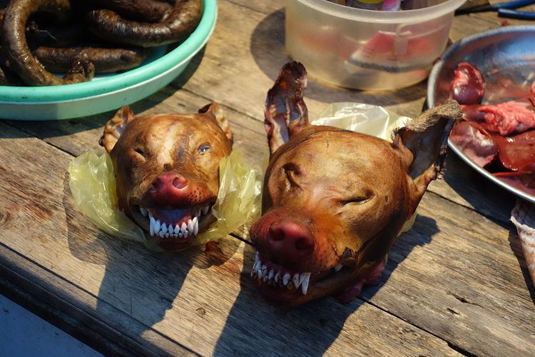 Dog meat FileDog meat in Ninh Binhjpg Wikimedia Commons