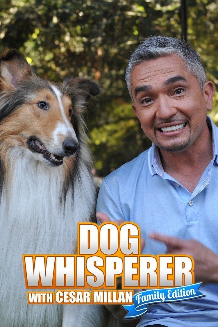 Dog Whisperer with Cesar Millan wwwgstaticcomtvthumbtvbanners228140p228140